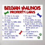 BELGIAN MALINOIS PL2