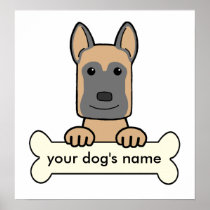 Belgian Malinois