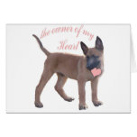 Belgian Malinois Puppy Cards