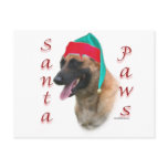 Belgian Malinois Santa Paws Post Card