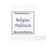 Belgian Malinois Security System Greeting Cards