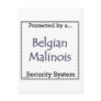 Belgian Malinois Security System Postcard
