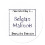Belgian Malinois Security System Sticker