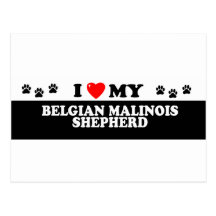 BELGIAN MALINOIS SHEHERD_ POST CARD