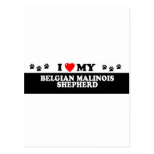 BELGIAN MALINOIS SHEHERD_ POST CARD