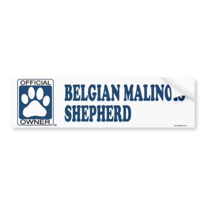 Belgian Malinois Shepherd Blue by GenuineDogOwner