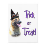 Belgian Malinois Trick Post Cards