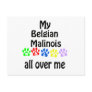 Belgian Malinois Walks Design Postcards