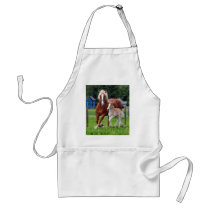 belgian Mare and Filly Apron
