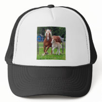 belgian Mare and Filly