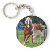 belgian Mare and Filly