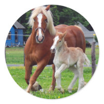 belgian Mare and Filly