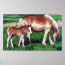 Belgian Mare and Foal Horse Portrait