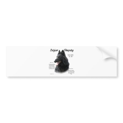 Belgian Sheepdog History Design by GreyWolfCreation