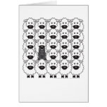 Belgian Sheepdog in the Sheep Cards