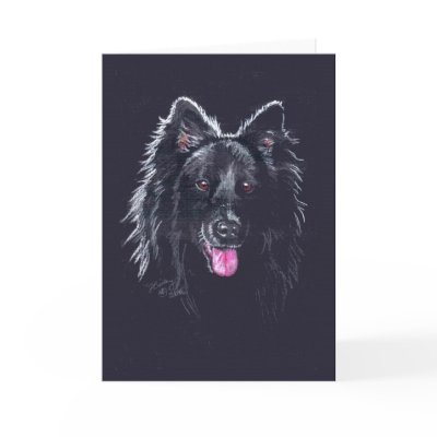 Belgian Sheepdog on Black Greeting Card by foxbrush