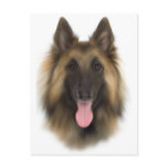 Belgian Sheperd Tervueren postcards