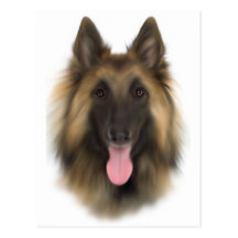 Belgian Sheperd Tervueren Postcard