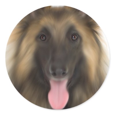 Belgian Sheperd Tervueren by DogShop