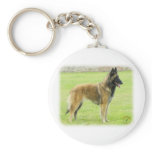 Belgian Shepherd 9Y024D-008 Key Chains