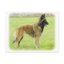 Belgian Shepherd 9Y024D-008 Post Cards