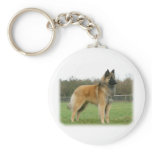 Belgian Shepherd 9Y116D-091 keychains
