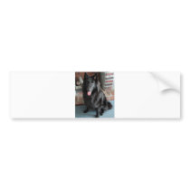 Belgian Shepherd aka "The Black Wolf" Bumper Sticker