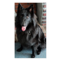 Belgian Shepherd Business Card Templates