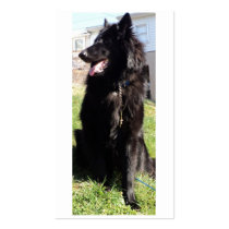 Belgian Shepherd Business Card