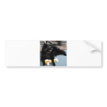 Belgian Shepherd by the Fireplace Bumper Stickers