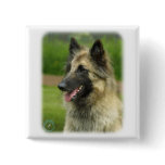 Belgian Shepherd Dog 8W51D-14 Pinback Buttons