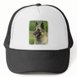 Belgian Shepherd Dog 8W51D-14 Trucker Hat