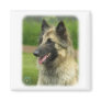 Belgian Shepherd Dog 8W51D-14 Magnet