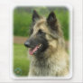Belgian Shepherd Dog 8W51D-14 Mouse Mat
