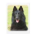 Belgian Shepherd Dog 9M031D-24 Postcard