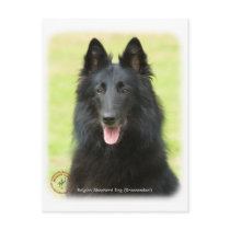 Belgian Shepherd Dog 9M031D-24 Postcard