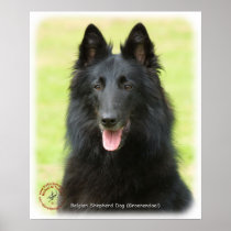 Belgian Shepherd Dog 9M031D-24 Poster