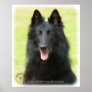 Belgian Shepherd Dog 9M031D-24 Poster