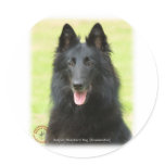 Belgian Shepherd Dog 9M031D-24 Round Stickers