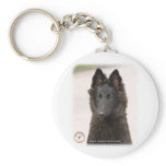 Belgian Shepherd Dog 9R096D-022 Key Chain