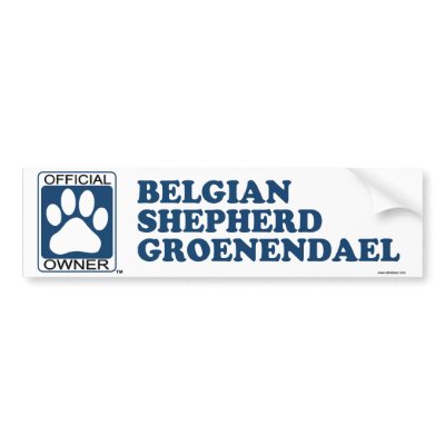 Belgian Shepherd Groenendael Blue by GenuineDogOwner