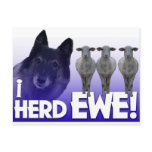 Belgian Shepherd - I Herd EWE PUN (I heard you) Post Card