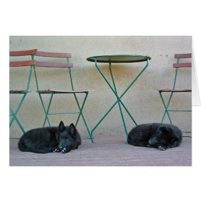 Belgian Shepherd Pups Greeting Card by sbeck44