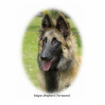 Belgian Shepherd (Terveuren) 9T85D-053 photo sculptures
