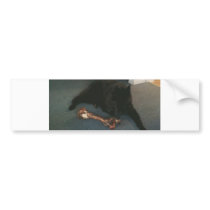 Belgian Shepherd with a Bone aka "The Black Wolf" Bumper Sticker