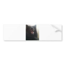 Belgian Shepherd's Teeth aka "The Black Wolf" Bumper Stickers