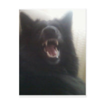Belgian Shepherd's Teeth aka "The Black Wolf" Post Cards