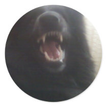 Belgian Shepherd's Teeth aka "The Black Wolf" Round Stickers