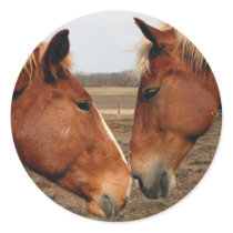 Belgian sticker