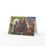 Belgian Team cards